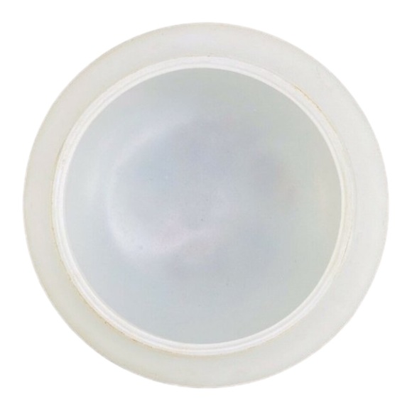 Domed Ceiling Shade Hand Painted 1930s Frosted Glass Dome Vintage Light Flowers - Picture 4 of 7